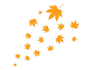 Vertical Graphic of Scattered Orange Maple Leaves