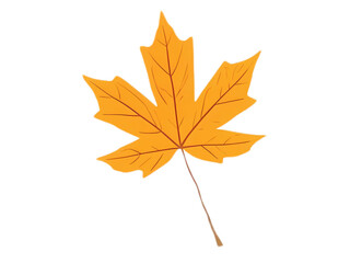 Single Yellow Maple Leaf Illustration