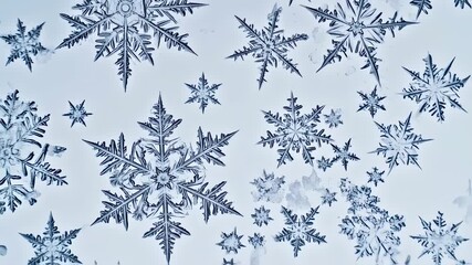 Intricate snowflakes slowly drifting down to the cold winter ground, filling the air with the - Powered by Adobe