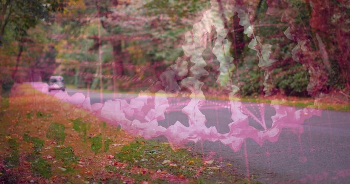 Fototapeta Narrow asphalt road winding through autumn woods with leaves, small white car and pink fractal