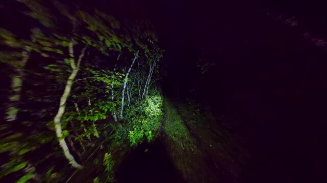 POV walking in dense woods at night in fear. Running from in the dark forest woodland trail. Escape in scary dark mysterious forest or haunted forest. Halloween horror background.