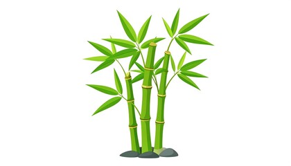 Naklejka premium Vibrant green bamboo stalks with lush foliage, set against a plain white background, create a serene and natural image.