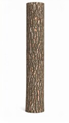 Isolated Cylindrical Tree Trunk on White Background Close Up Pattern Detail