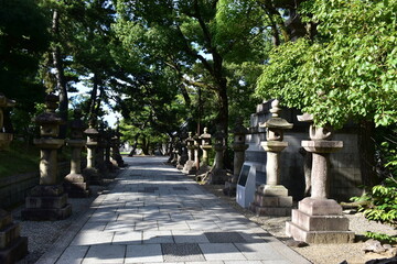 Obraz premium 大阪 神社仏閣 住吉大社