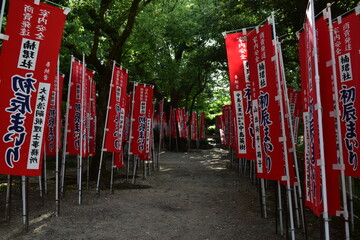 大阪　神社仏閣　住吉大社
