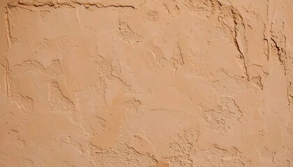 Buttery Taupe Roman Clay Wall Texture