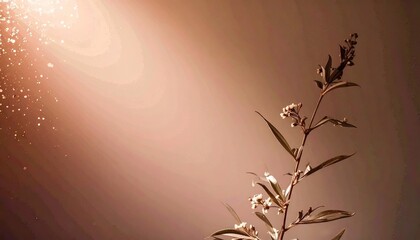 Delicate Ivory Flower Bloom with Soft Golden Light