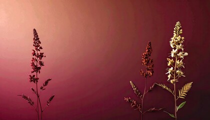 Dried Flowers Against a Gradient Background