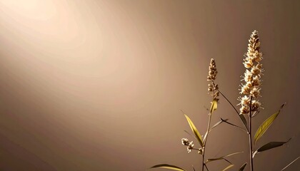 Dried Flowers in Soft Light