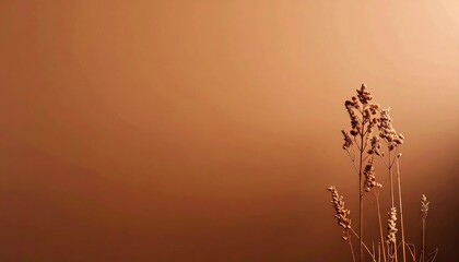 Dried Grass Silhouette Against Warm Brown Gradient Background