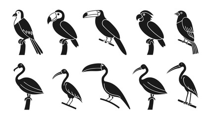 Fototapeta premium Collection of Stylized Bird Silhouettes on Perches