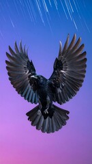 Fototapeta premium Dark bird in flight against a vibrant sky