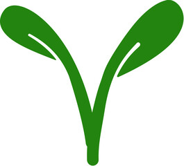 seed sprout with two leaves