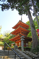 医王山 油山寺の三重塔