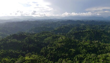 Fototapeta premium Aerial View Over Vast Tropical Rainforest Hills.