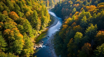 High-angle view of a winding river flowing through a vibrant autumn forest.