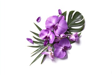 Purple orchids and tropical leaves on white