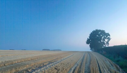 Tranquil Sunrise Over Golden Wheat Field
