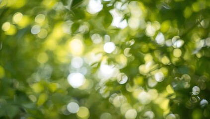Green leaves with soft bokeh light background