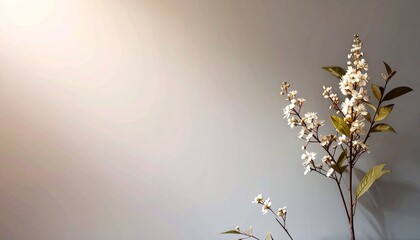 White Flowers and Green Leaves Against a Gradient Background