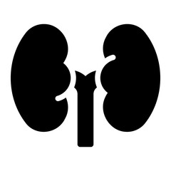 kidneys glyph icon