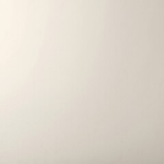 A pristine white wall, smooth and unblemished, stands alone in a well-lit room, creating a sense of spaciousness and tranquility.