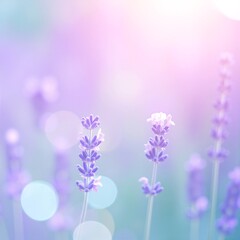 Obraz premium A vibrant cluster of lavender flowers basking in warm sunlight, their delicate purple petals glistening, surrounded by lush green foliage.