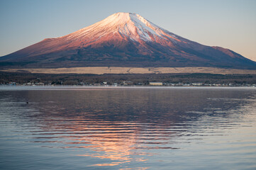 山中湖から望む富士山
