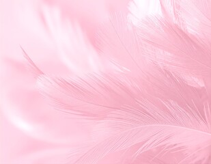 Obraz premium A vibrant screensaver featuring soft pink feathers gently cascading across a smooth background, creating a serene and elegant ambiance for your device.