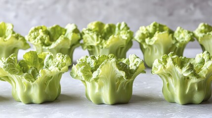 A close-up shot of several green lettuce cups arranged on a light surface.