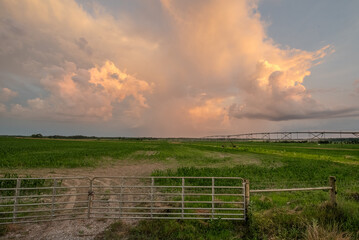 Summer storms grow in the midwest