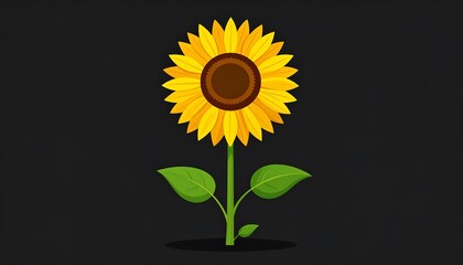Obraz premium Vibrant sunflower with bold yellow petals and dark brown disc, against a deep black background, showcases a simple, bright botanical design.