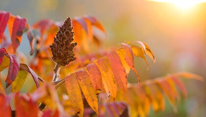 Obraz premium Autumn foliage close-up, warm light
