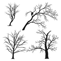 Obraz premium Collection of four distinct black silhouette bare trees with intricate branch structures against a clean white background representing winter or dormancy
