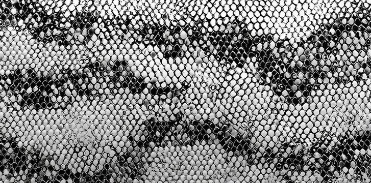 Abstract Monochrome Snake Skin Pattern Depicting Reptilian Scales Texture