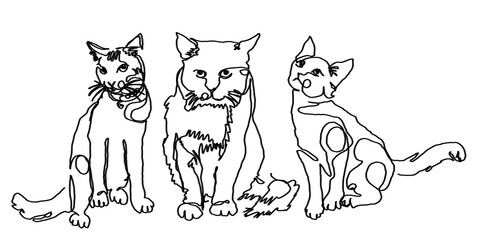 Three Cats One Line Art - transparent background