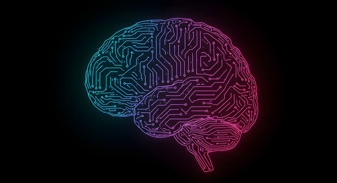 Digital brain circuitry