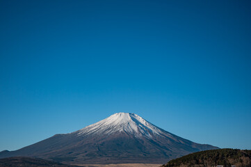Fototapeta premium 富士山