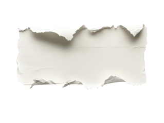 Torn piece of paper with on transparent background