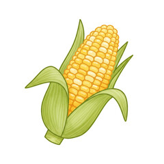 Obraz premium Vibrant Watercolor Illustration of a Fresh Sweet Corn Cob with Green Husks