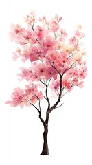 Obraz premium A delicate pink blossom tree illustrated in a watercolor style, capturing the beauty of spring and the gentle nature of floral art.