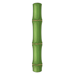 Obraz premium Close-up of a single, vibrant green bamboo stalk, showcasing its smooth, cylindrical form and distinct nodes.