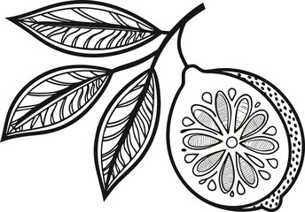 Single realistic lemon fruit illustration. Fresh yellow lemon isolated artwork. Realistic citrus lemon fruit design. Lemon fruit healthy food illustration. Organic lemon realistic fruit artwork Juicy