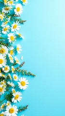 A vibrant bunch of daisies with white petals and bright yellow centers, beautifully arranged against a soft blue background, creating a cheerful atmosphere.