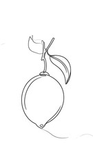 Simple line drawing of a lemon