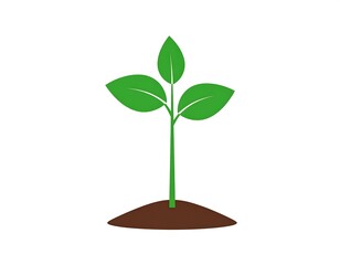 Simple sprout graphic