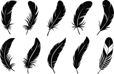 Elegant black feather silhouettes arranged on a white background for artistic design elements 
