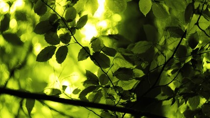 Abstract green textures blending with nature, evoking an environmental and serene mood.