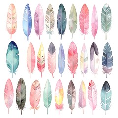 Watercolor feather design
