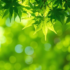 A vibrant collection of high-definition wallpapers featuring lush green leaves, showcasing intricate textures and varying shades of green for a refreshing look.